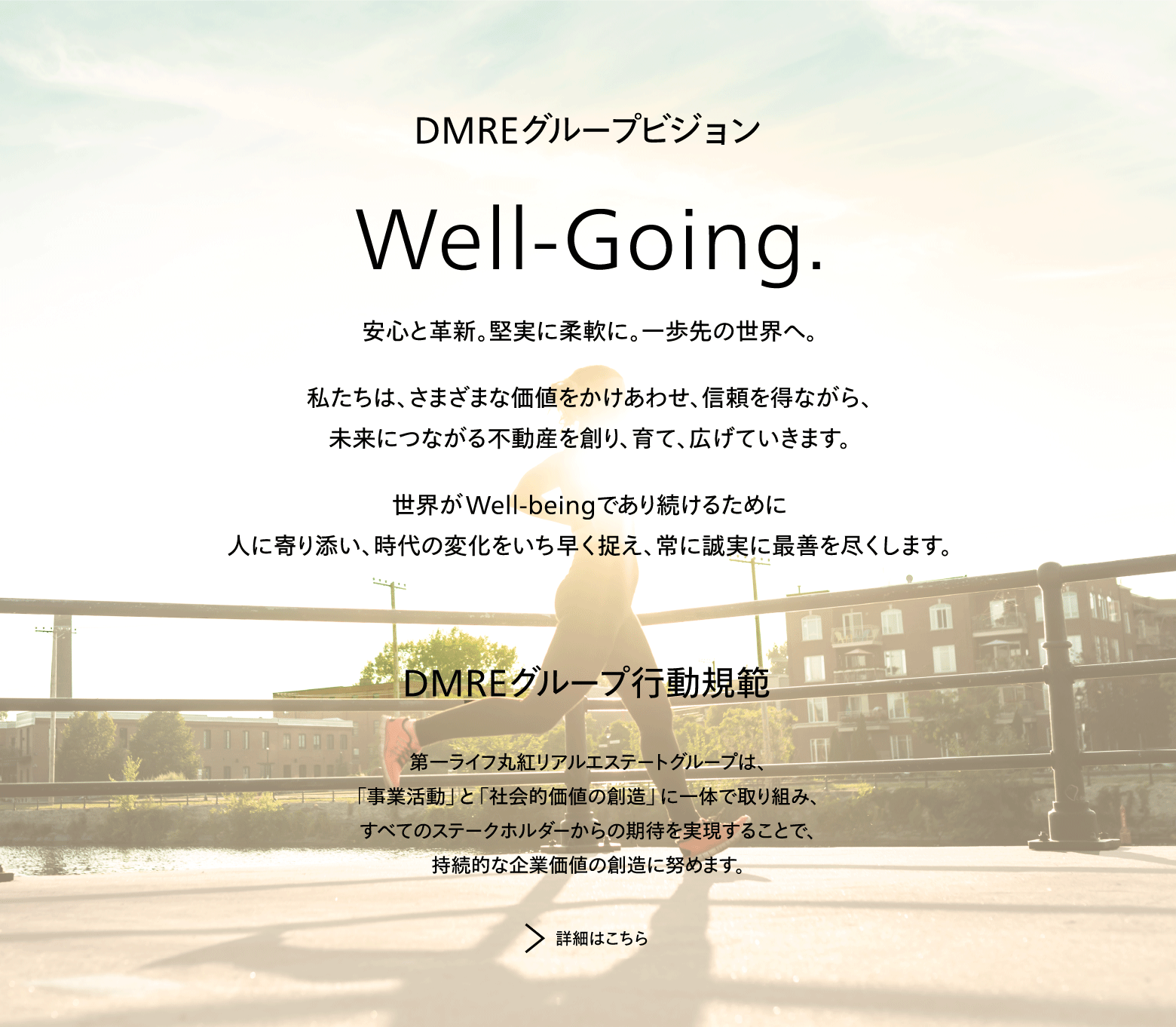 DMREグループビジョン